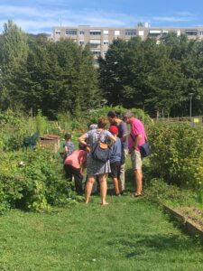 Médiation - Formations