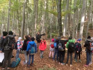 Médiation - Visite guidée